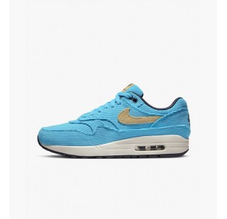 Кросівки чоловічі Nike Air Max 1 Prm Corduroy FB8915-400