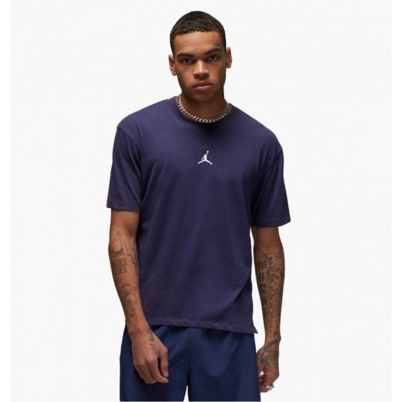 Футболка Air Jordan Dri-Fit Sport MenS T-Shirt DH8920-410_image_1