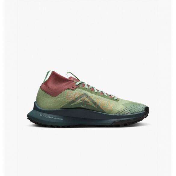 Кроссовки женские Nike React Pegasus Trail 4 Gtx DJ7929-300_image_1