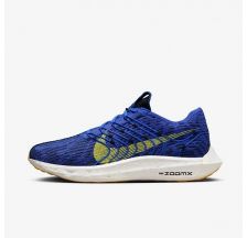 Чоловічі кросівки Nike Pegasus Turbo Next Nature DM3413-401