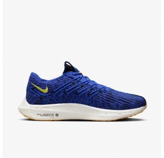 Чоловічі кросівки Nike Pegasus Turbo Next Nature DM3413-401