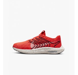 Чоловічі кросівки Nike Pegasus Turbo Next Nature DM3413-600