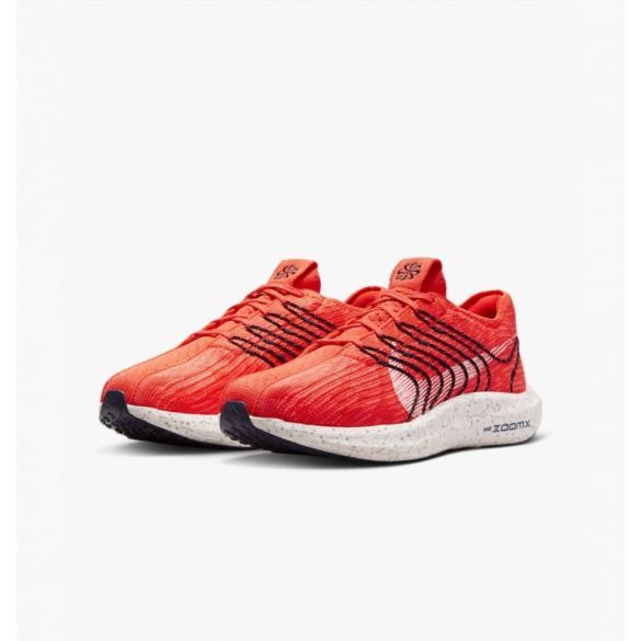 Чоловічі кросівки Nike Pegasus Turbo Next Nature DM3413-600_image_6