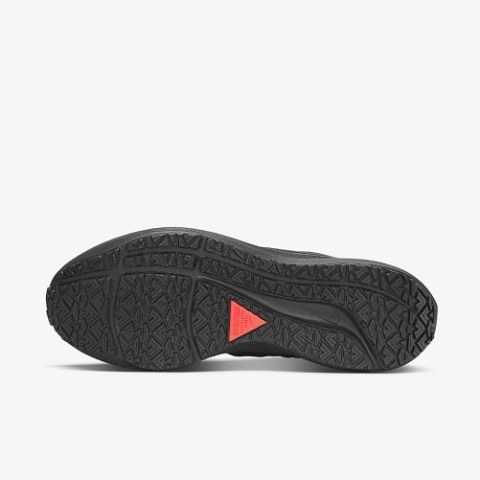 Кросівки Nike Air Zoom Pegasus 39 Shield Do7625-001_image_5