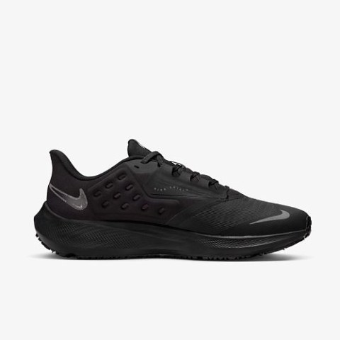 Кросівки Nike Air Zoom Pegasus 39 Shield Do7625-001_image_1