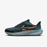 Кросівки Nike Air Zoom Pegasus 39 Shield Do7625-300_image_2