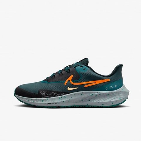 Кросівки Nike Air Zoom Pegasus 39 Shield Do7625-300_image_2