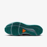 Кросівки Nike Air Zoom Pegasus 39 Shield Do7625-300_image_10