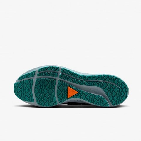 Кросівки Nike Air Zoom Pegasus 39 Shield Do7625-300_image_10