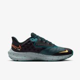 Кросівки Nike Air Zoom Pegasus 39 Shield Do7625-300_image_1