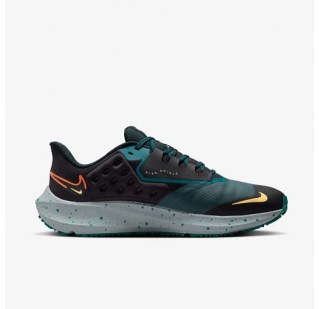 Кросівки Nike Air Zoom Pegasus 39 Shield Do7625-300