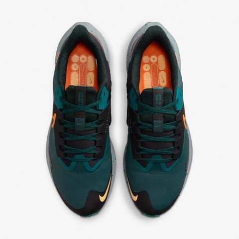 Кросівки Nike Air Zoom Pegasus 39 Shield Do7625-300_image_5