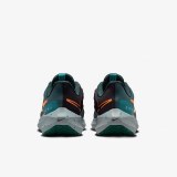Кросівки Nike Air Zoom Pegasus 39 Shield Do7625-300_image_4