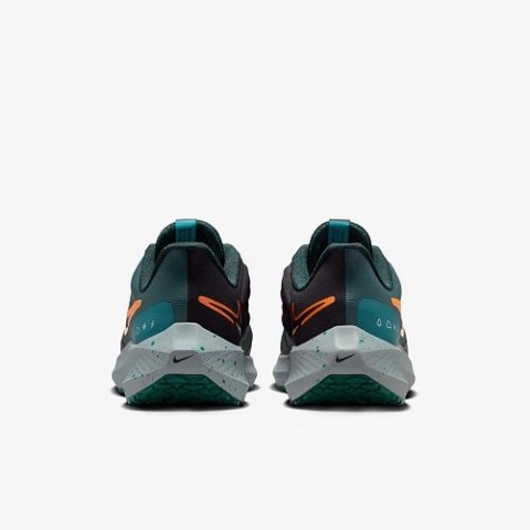 Кросівки Nike Air Zoom Pegasus 39 Shield Do7625-300_image_4