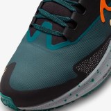 Кросівки Nike Air Zoom Pegasus 39 Shield Do7625-300_image_9