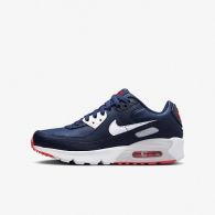 Кроссовки Nike Air Max 90 Ltr Gs DV3607-400