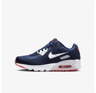 Кросівки Nike Air Max 90 Ltr Gs DV3607-400