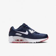 Кроссовки Nike Air Max 90 Ltr Gs DV3607-400