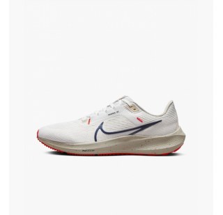 Кросівки Nike Pegasus 40 DV3853-100