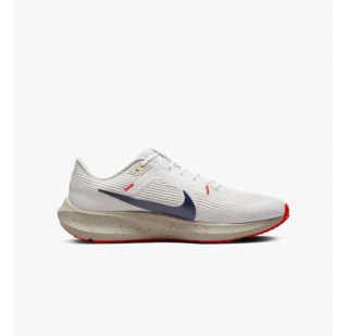 Кросівки Nike Pegasus 40 DV3853-100