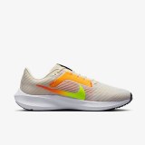 Кросівки Nike Pegasus 40 DV3853-101_image_1