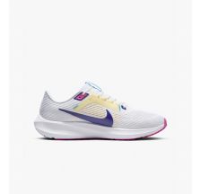 Кросівки Nike Pegasus 40 DV3853-105