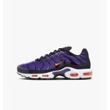 Кросівки Nike Air Max Plus Og DX0755-500_image_2