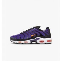 Кроссовки Nike Air Max Plus Og DX0755-500_image_9