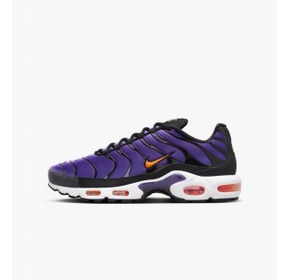 Кросівки Nike Air Max Plus Og DX0755-500
