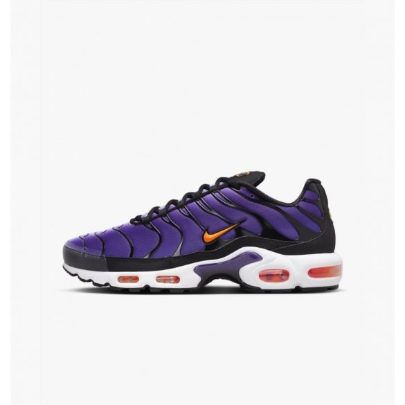 Кроссовки Nike Air Max Plus Og DX0755-500_image_2