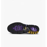 Кросівки Nike Air Max Plus Og DX0755-500_image_3