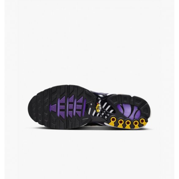 Кросівки Nike Air Max Plus Og DX0755-500_image_3