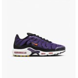 Кросівки Nike Air Max Plus Og DX0755-500_image_1