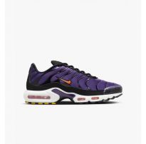 Кроссовки Nike Air Max Plus Og DX0755-500_image_9