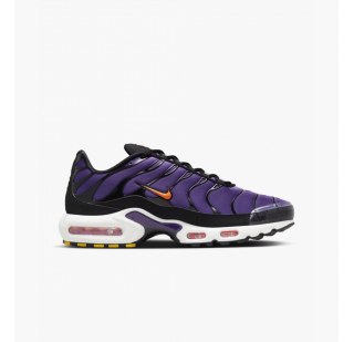 Кросівки Nike Air Max Plus Og DX0755-500