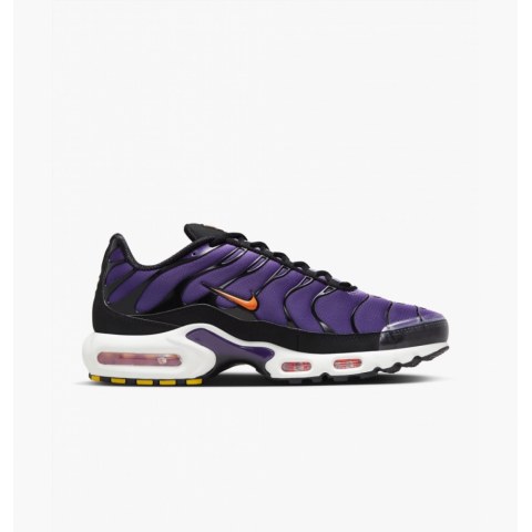 Кросівки Nike Air Max Plus Og DX0755-500_image_1