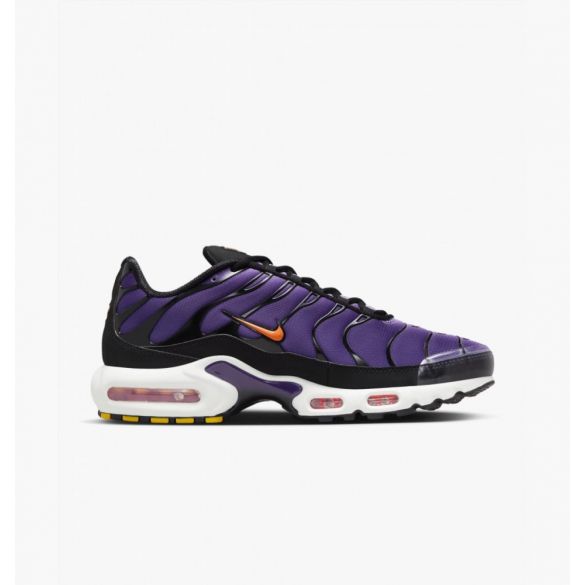 Кроссовки Nike Air Max Plus Og DX0755-500_image_1
