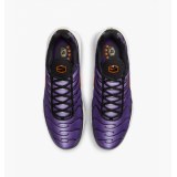 Кросівки Nike Air Max Plus Og DX0755-500_image_6