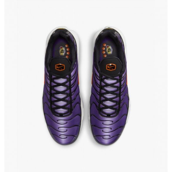 Кросівки Nike Air Max Plus Og DX0755-500_image_6