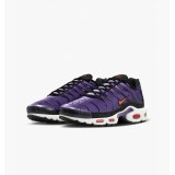 Кросівки Nike Air Max Plus Og DX0755-500_image_4