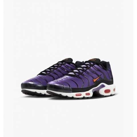 Кросівки Nike Air Max Plus Og DX0755-500_image_4