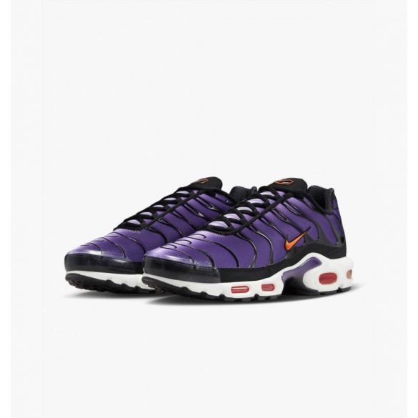 Кросівки Nike Air Max Plus Og DX0755-500_image_4