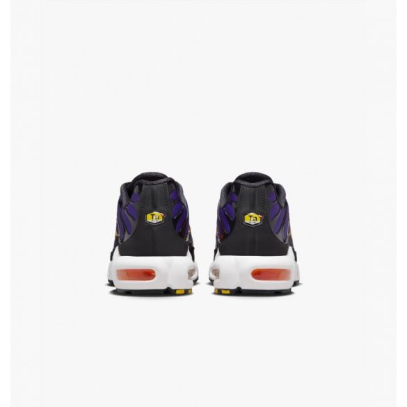 Кросівки Nike Air Max Plus Og DX0755-500_image_9