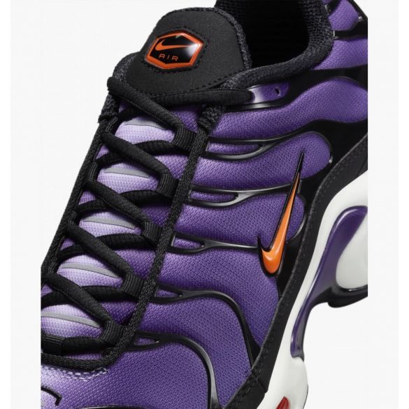 Кросівки Nike Air Max Plus Og DX0755-500_image_7
