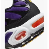 Кросівки Nike Air Max Plus Og DX0755-500_image_8