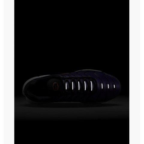 Кросівки Nike Air Max Plus Og DX0755-500_image_5