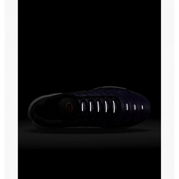 Кросівки Nike Air Max Plus Og DX0755-500_image_5