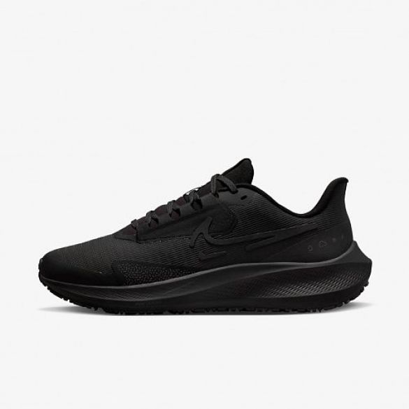 Кросівки Nike Air Zoom Pegasus 39 Shield Do7626-001_image_2