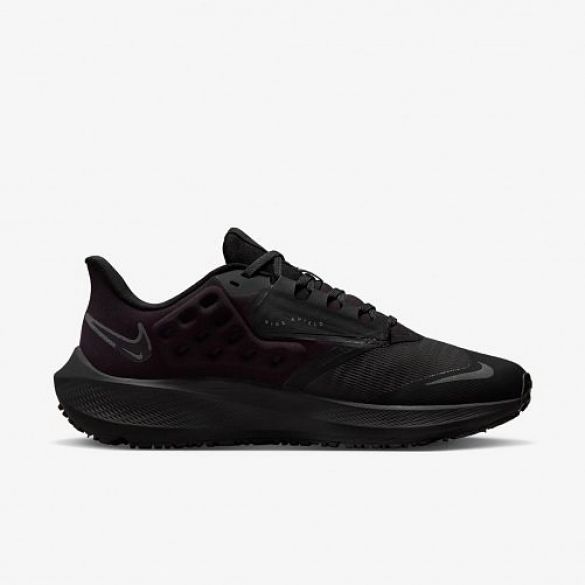 Кросівки Nike Air Zoom Pegasus 39 Shield Do7626-001_image_1