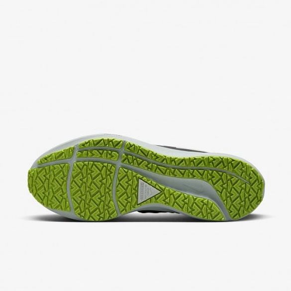 Кросівки Nike Air Zoom Pegasus 39 Shield Do7626-002_image_10